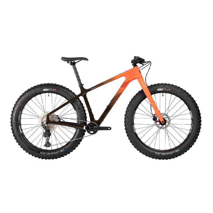 Salsa carbon fat bike online